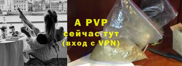 прущая мука Бородино