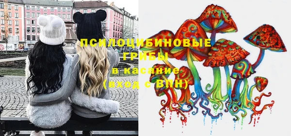 ГАЛЛЮЦИНОГЕННЫЕ ГРИБЫ Бугульма