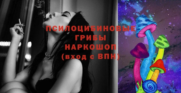 ГАЛЛЮЦИНОГЕННЫЕ ГРИБЫ Бугульма